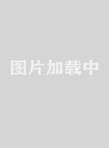地雷战传奇之锄奸行动